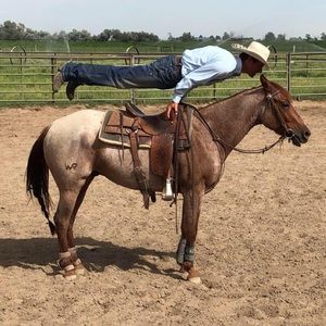 Meet your Posher, Wade